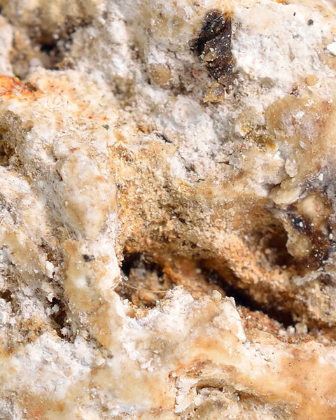 Ambergris