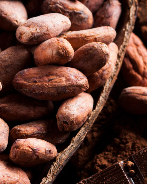Cacao
