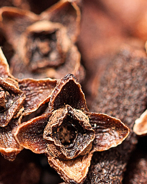 Clove