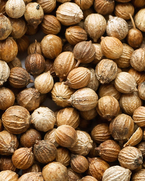 Coriander