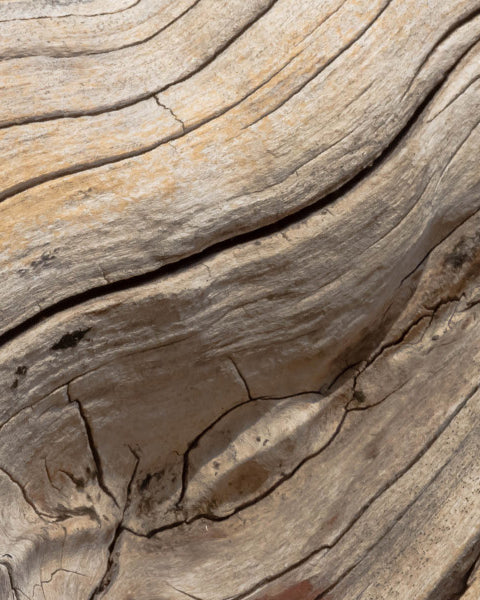 Dry Wood