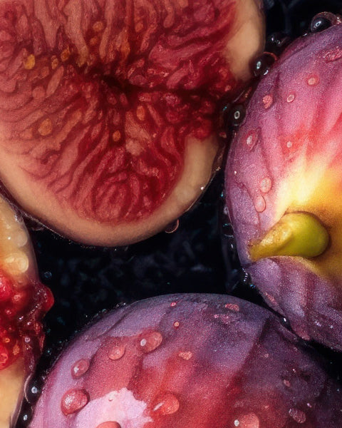 Fig