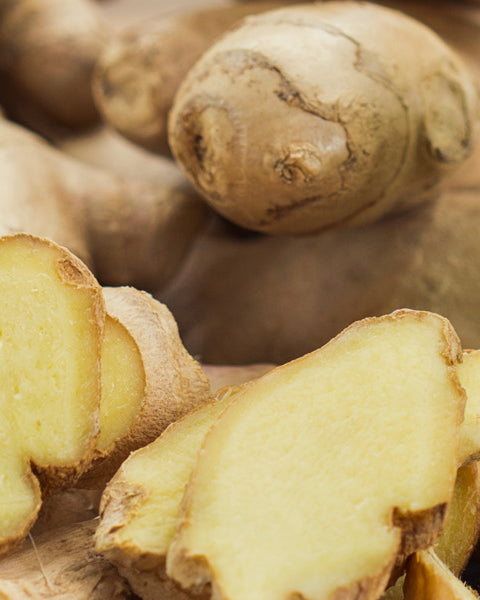 Ginger