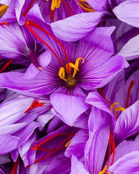 Saffron