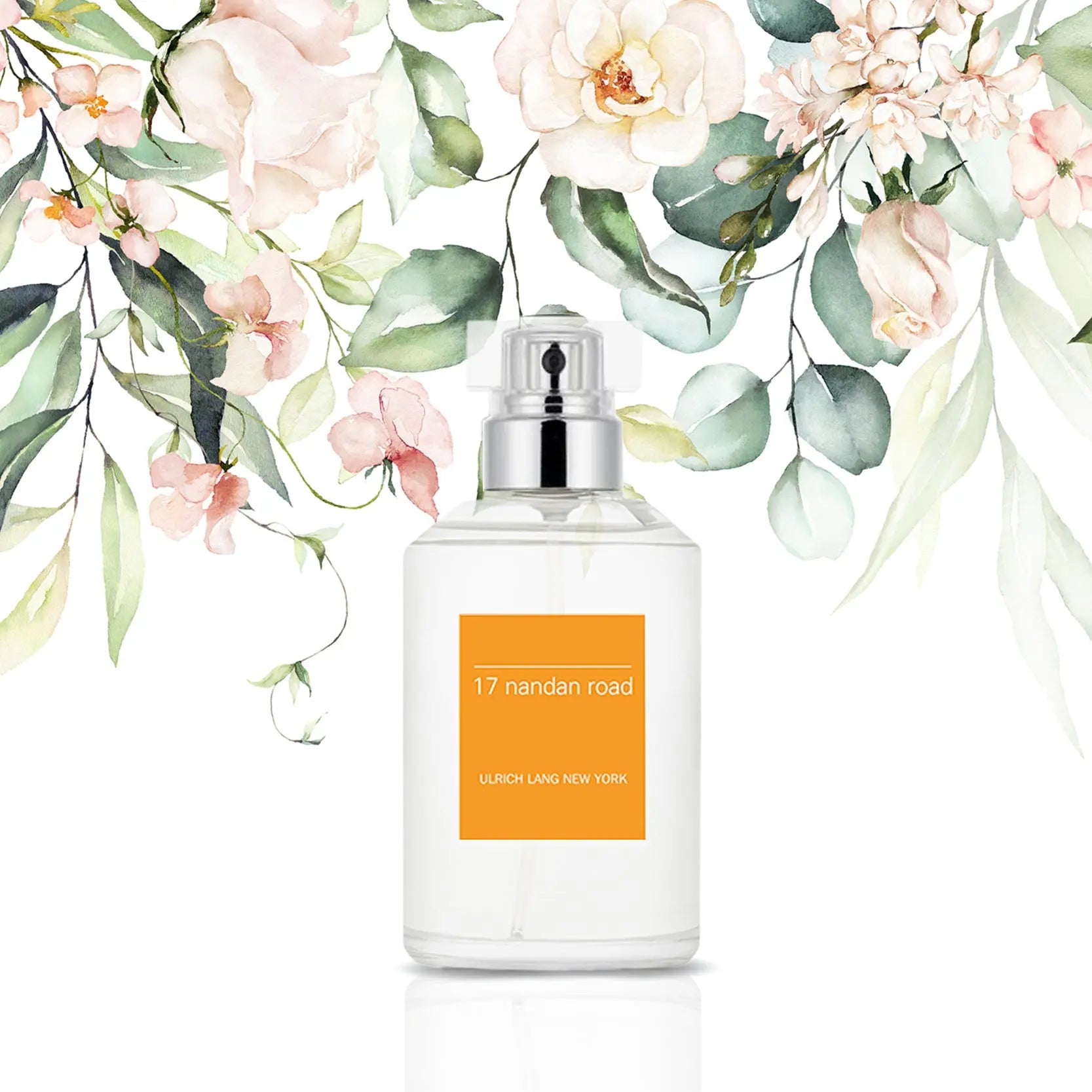 17 Nandan Road | Eau de Toilette - NEVERABORE