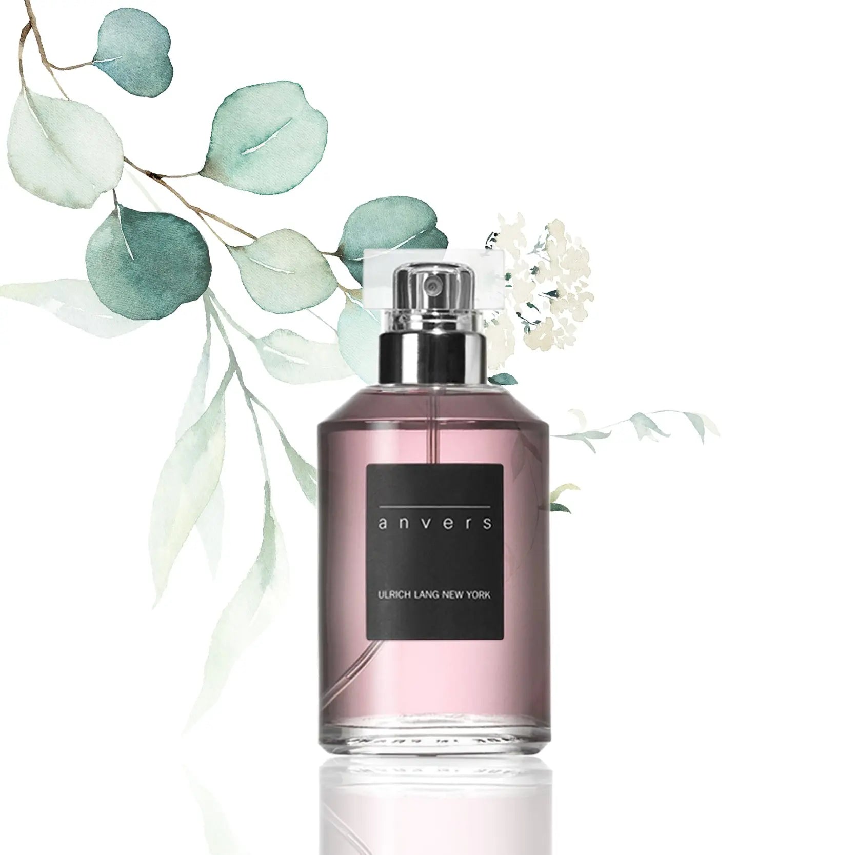 Anvers | Eau de Toilette - NEVERABORE