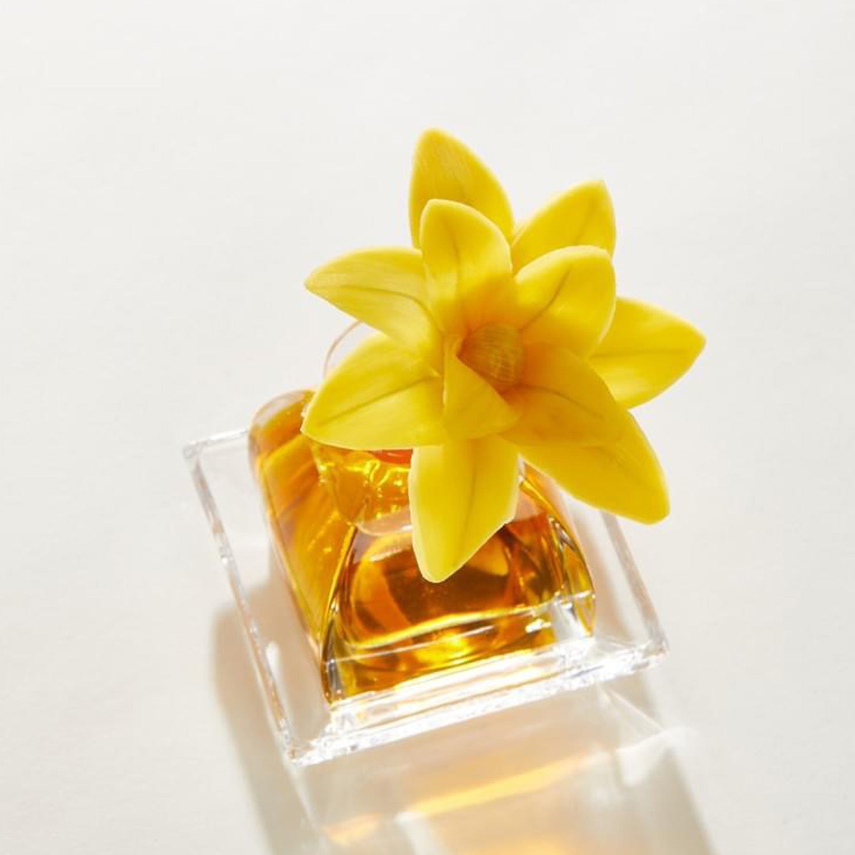 Bitter Orange | PetiteEssence Diffuser - NEVERABORE