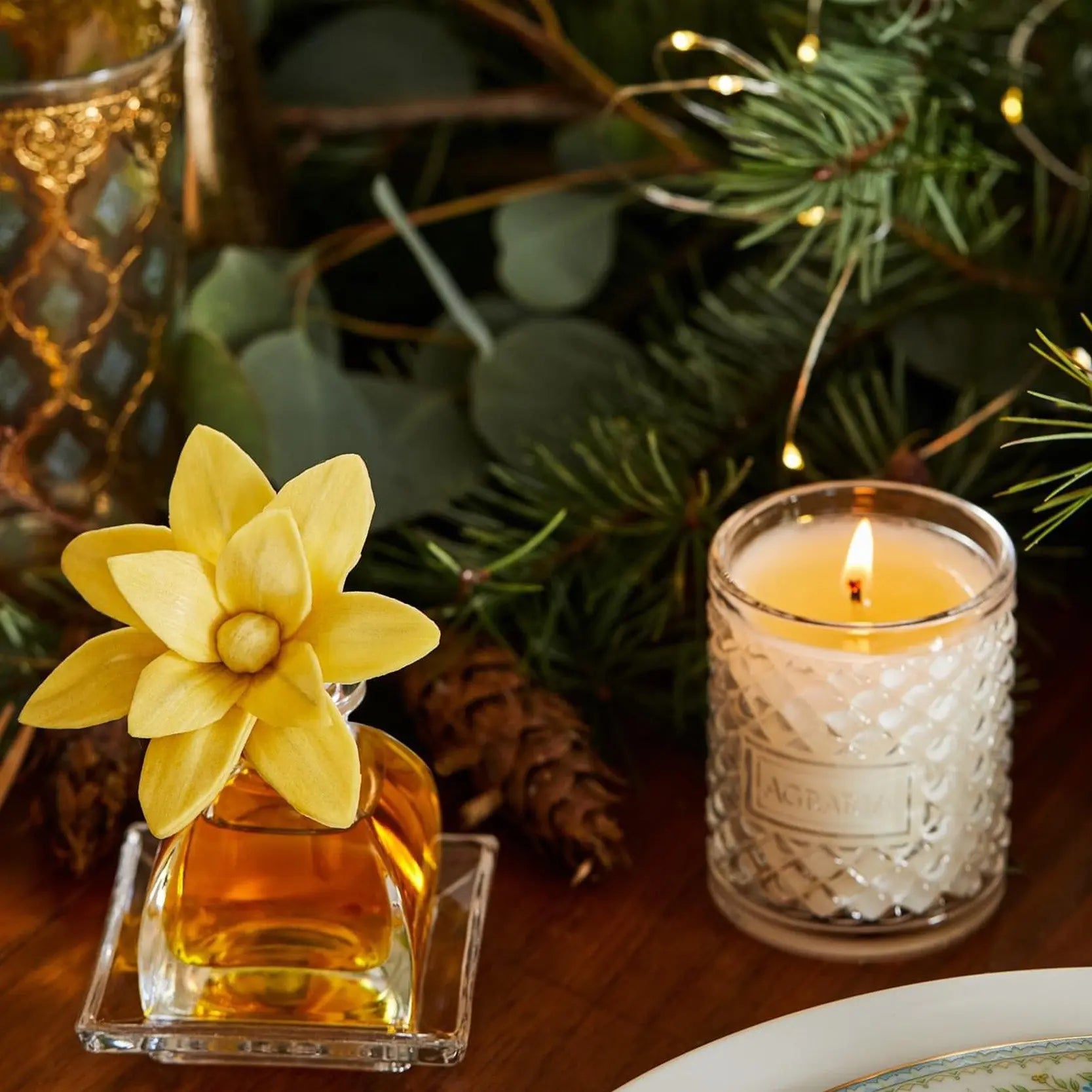 Bitter Orange | Candle 7oz - NEVERABORE