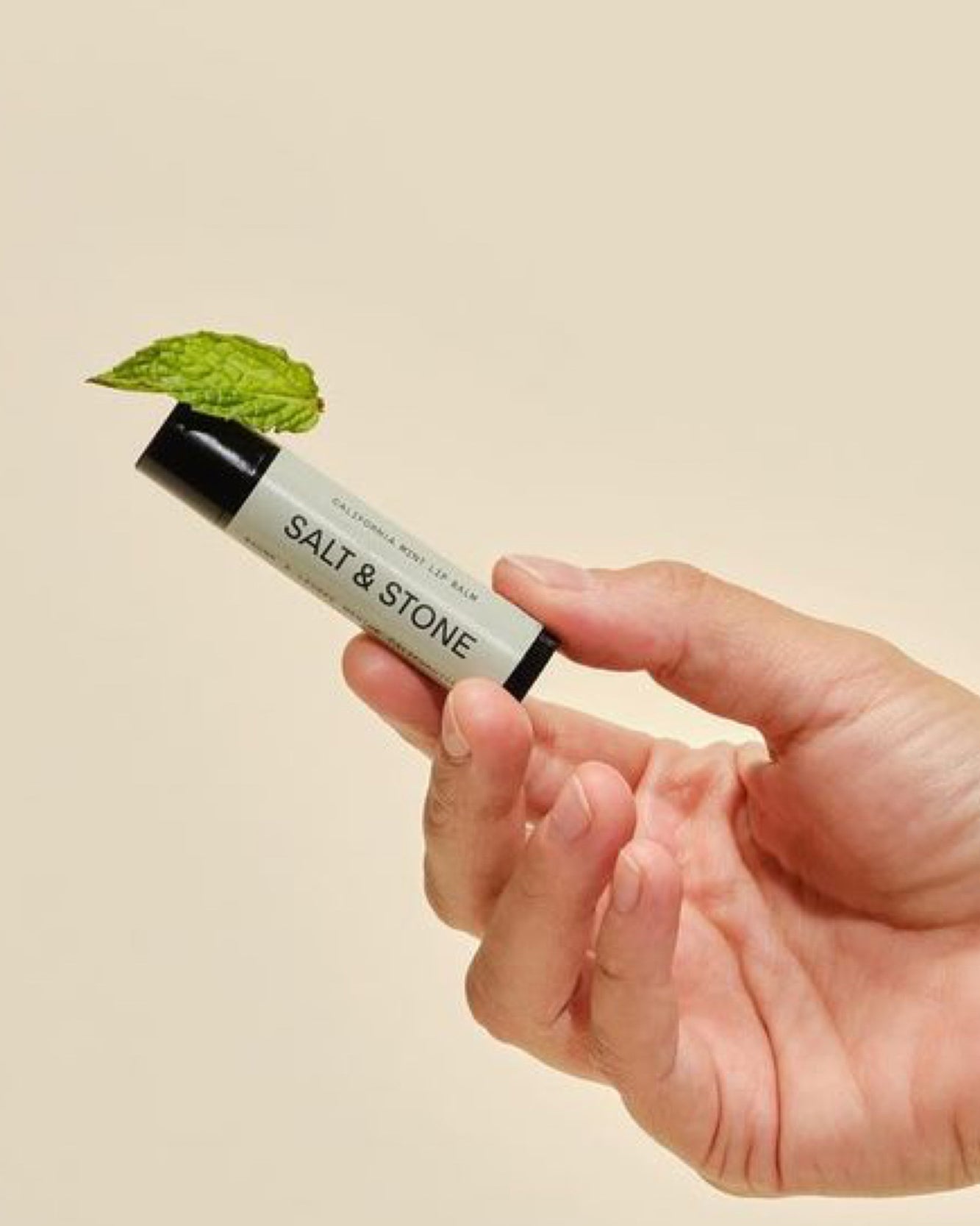 California Mint | Lip Balm - NEVERABORE