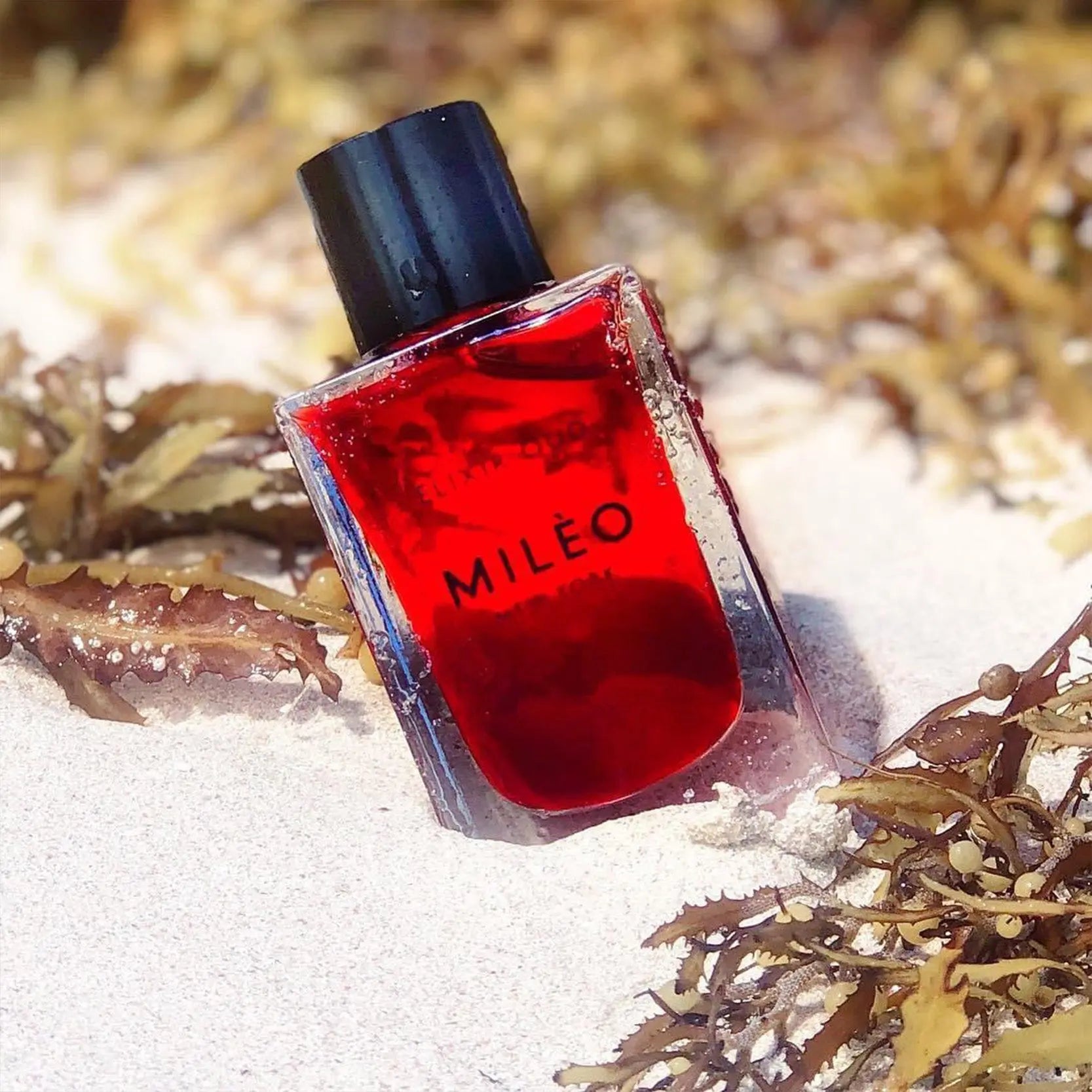 Collonges-La-Rouge Elixir Oud | Facial Oil - NEVERABORE