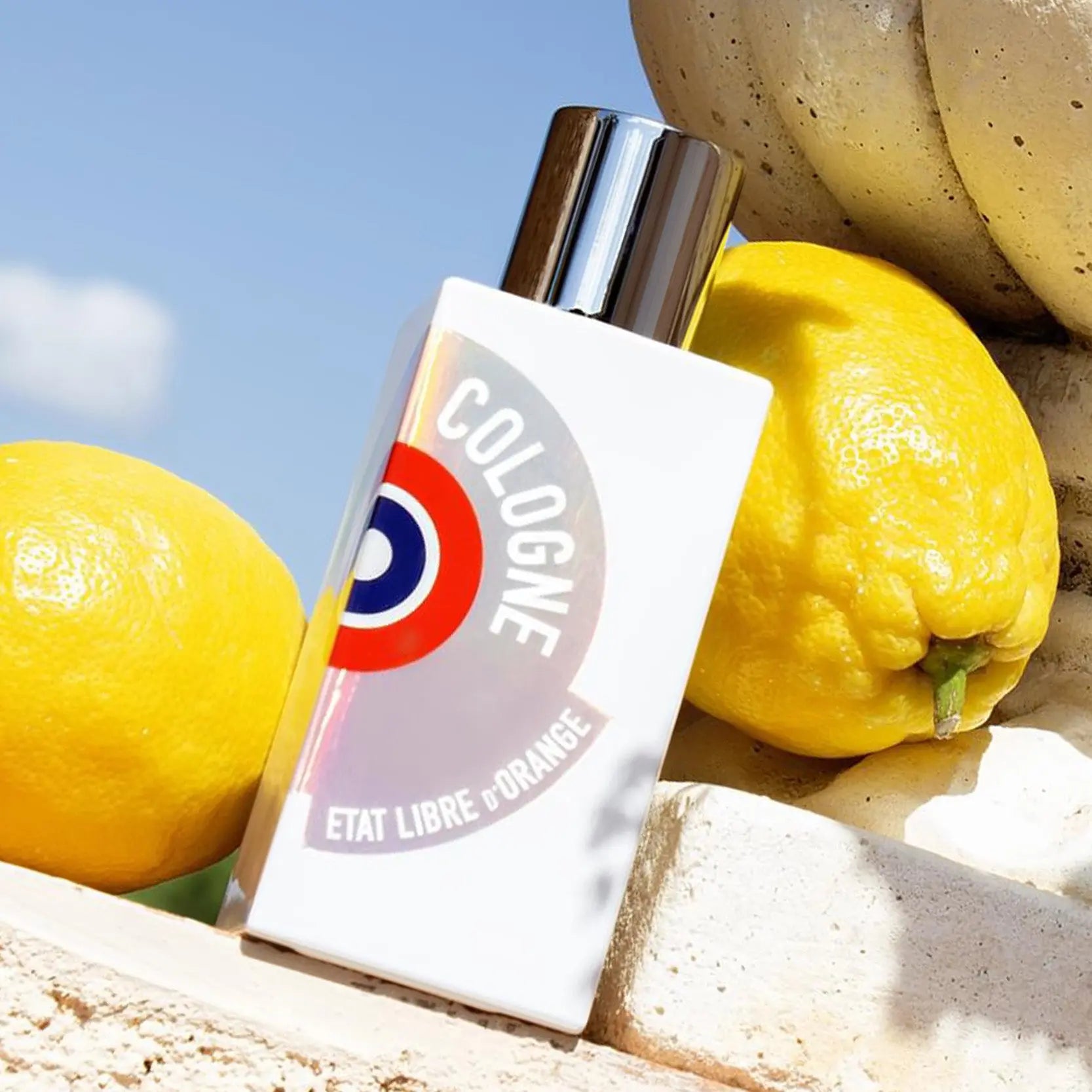 Cologne | Eau de Parfum - NEVERABORE