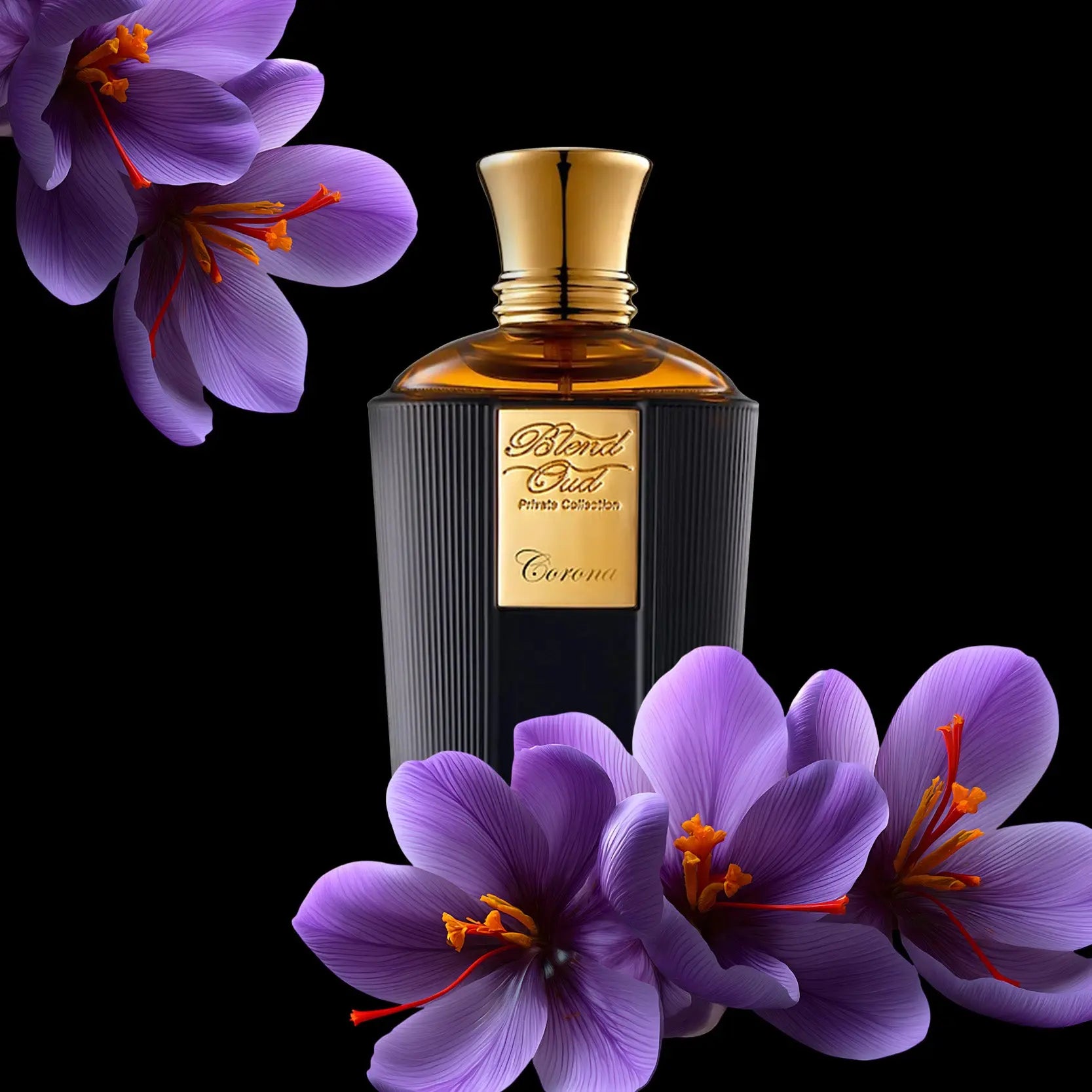 Corona | Eau de Parfum Blend Oud