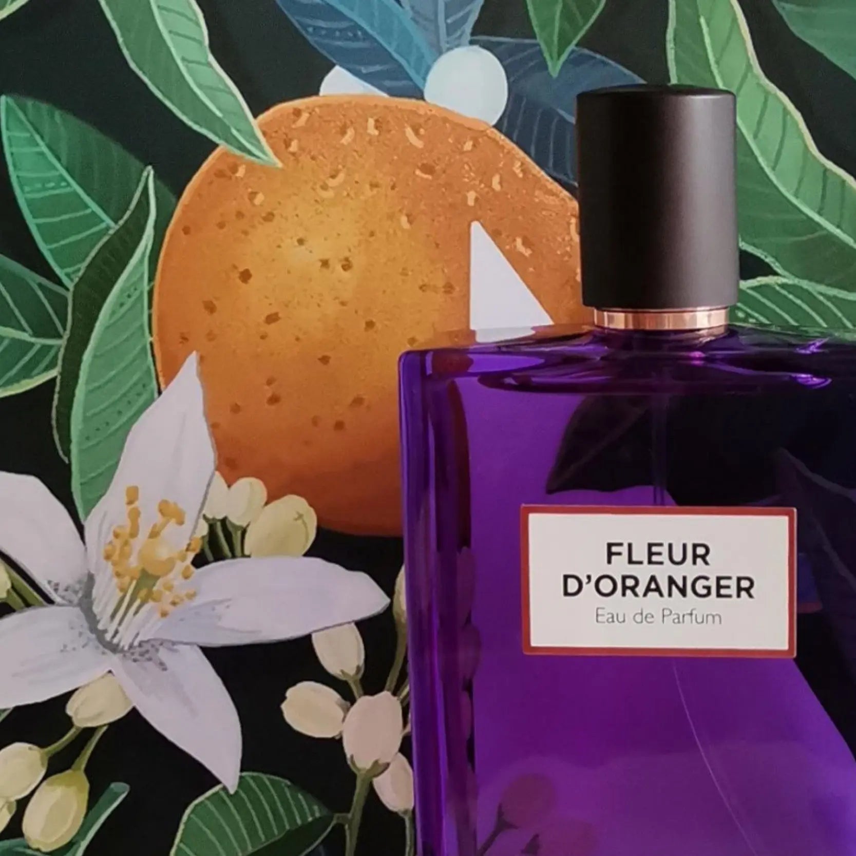 Fleur d'Orange | Eau de Parfum - NEVERABORE
