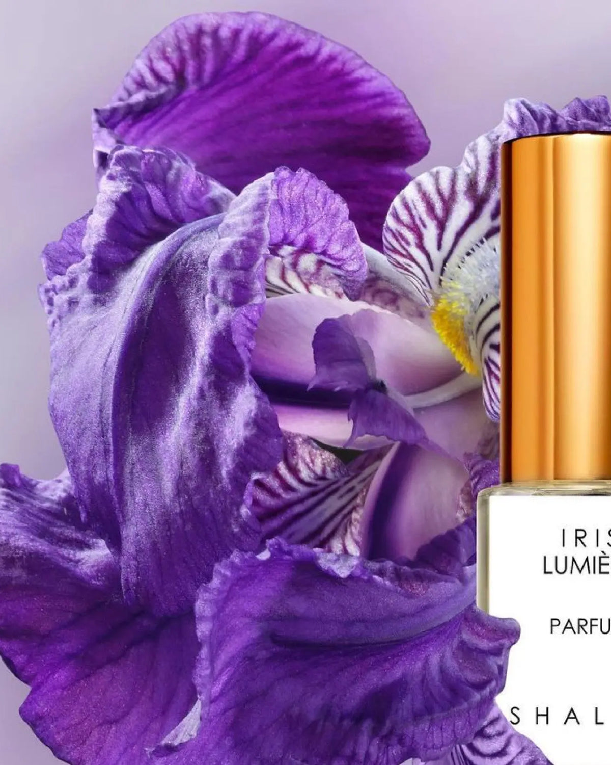 Iris Lumière Parfum | Luxury Spray Bottle - NEVERABORE