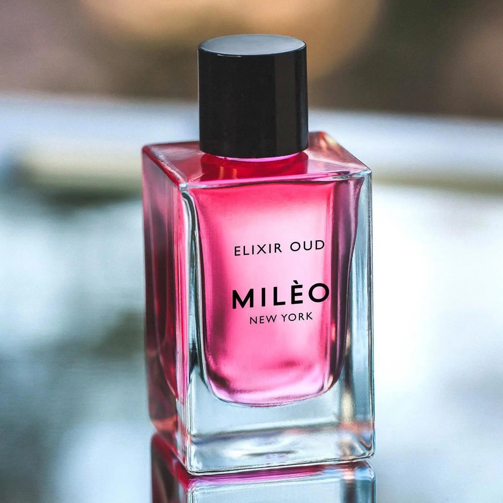 La Rose de Joell Elixir Oud | Facial Oil - NEVERABORE