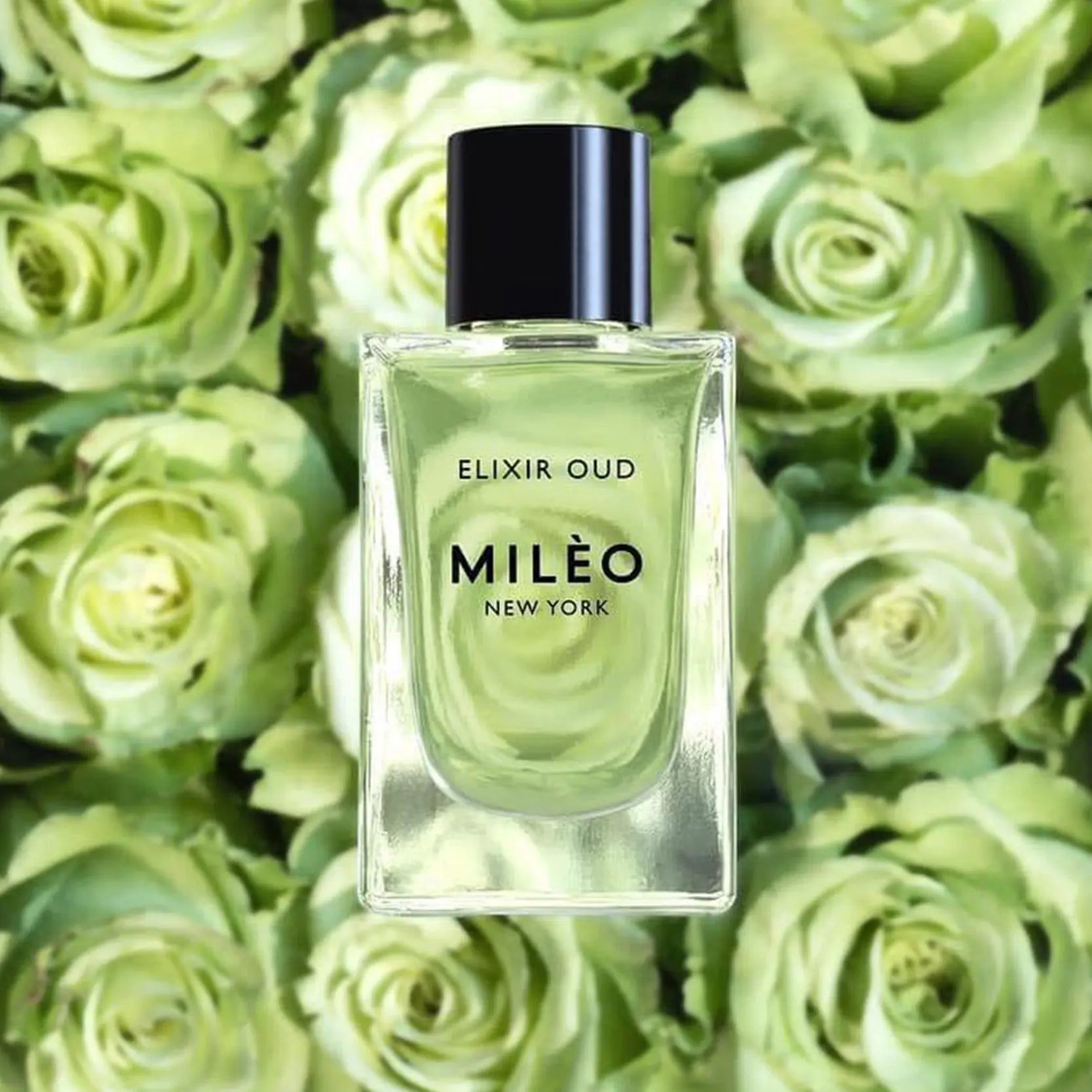 Labyrinthe Vert Elixir Oud | Facial Oil - NEVERABORE