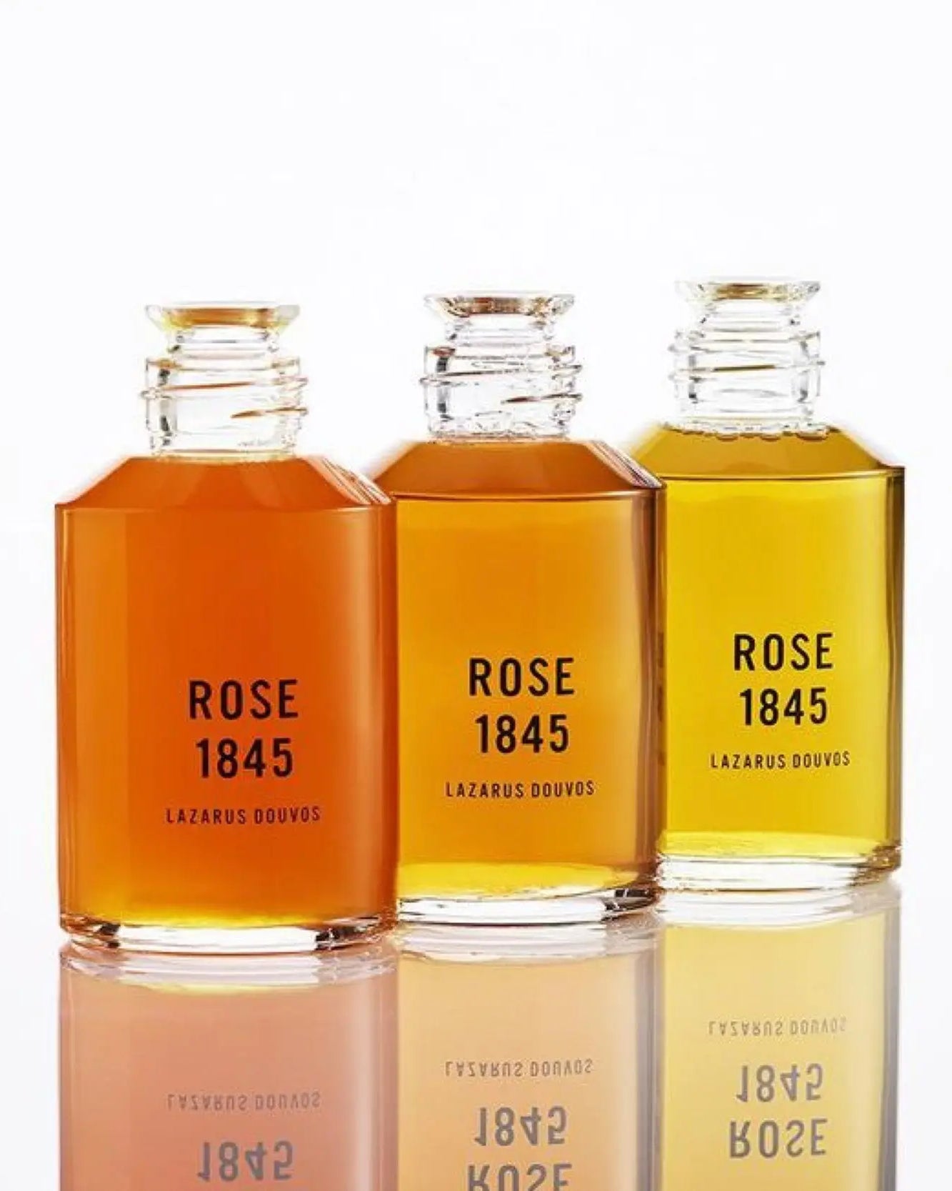 Rose 1845 Hair Care | Discovery Set - NEVERABORE
