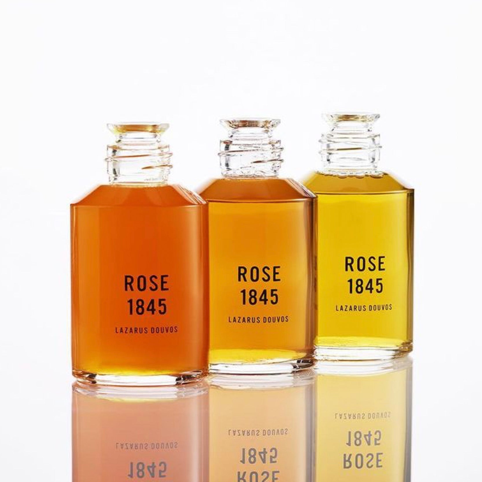 Rose 1845 Hair Care | Discovery Set - NEVERABORE