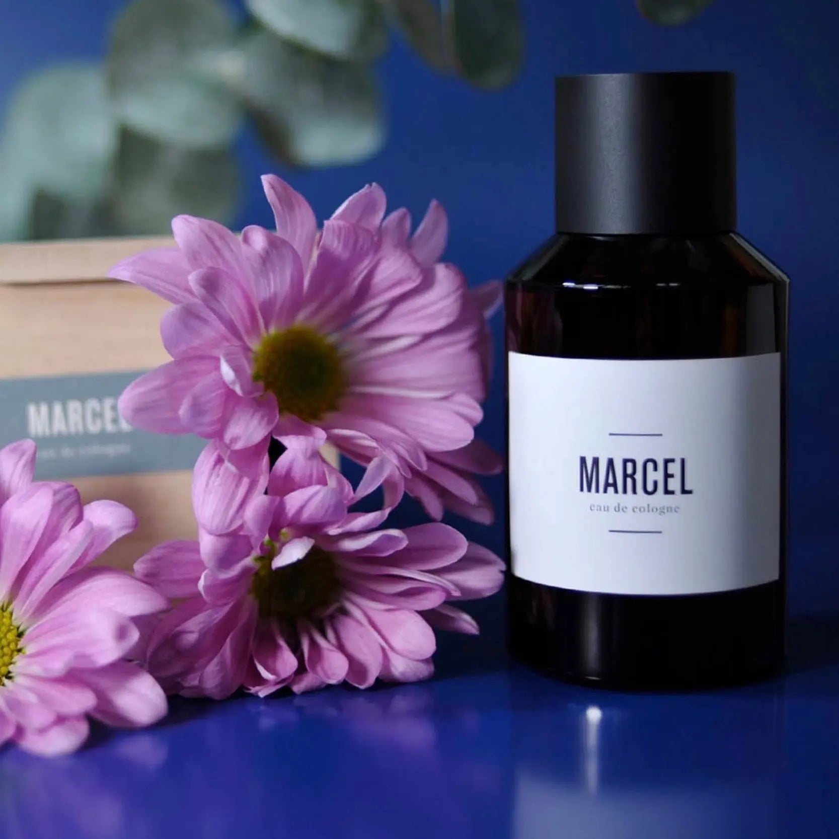 Marcel | Eau de Cologne - NEVERABORE