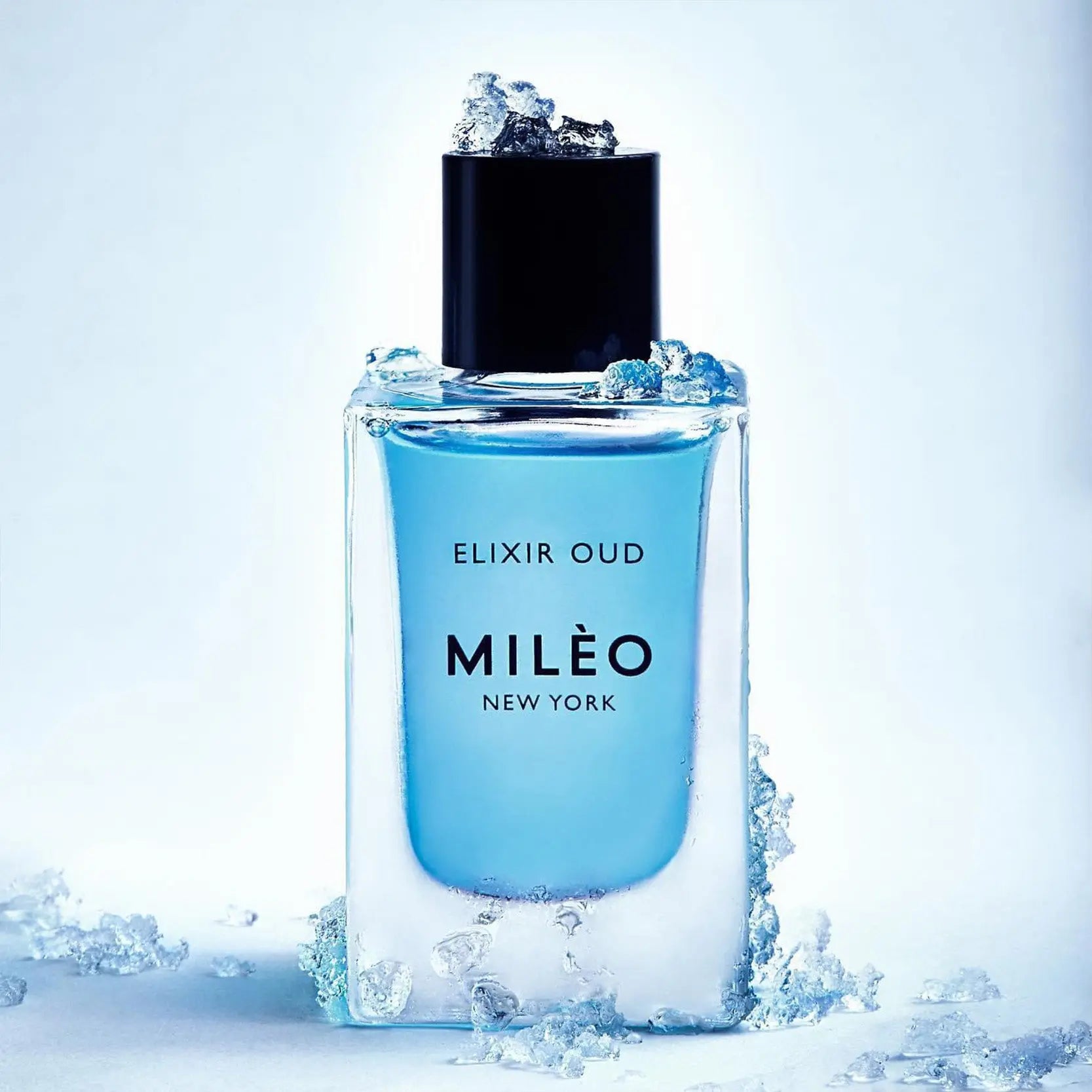 Maroc D'azur Elixir Oud | Facial Oil - NEVERABORE