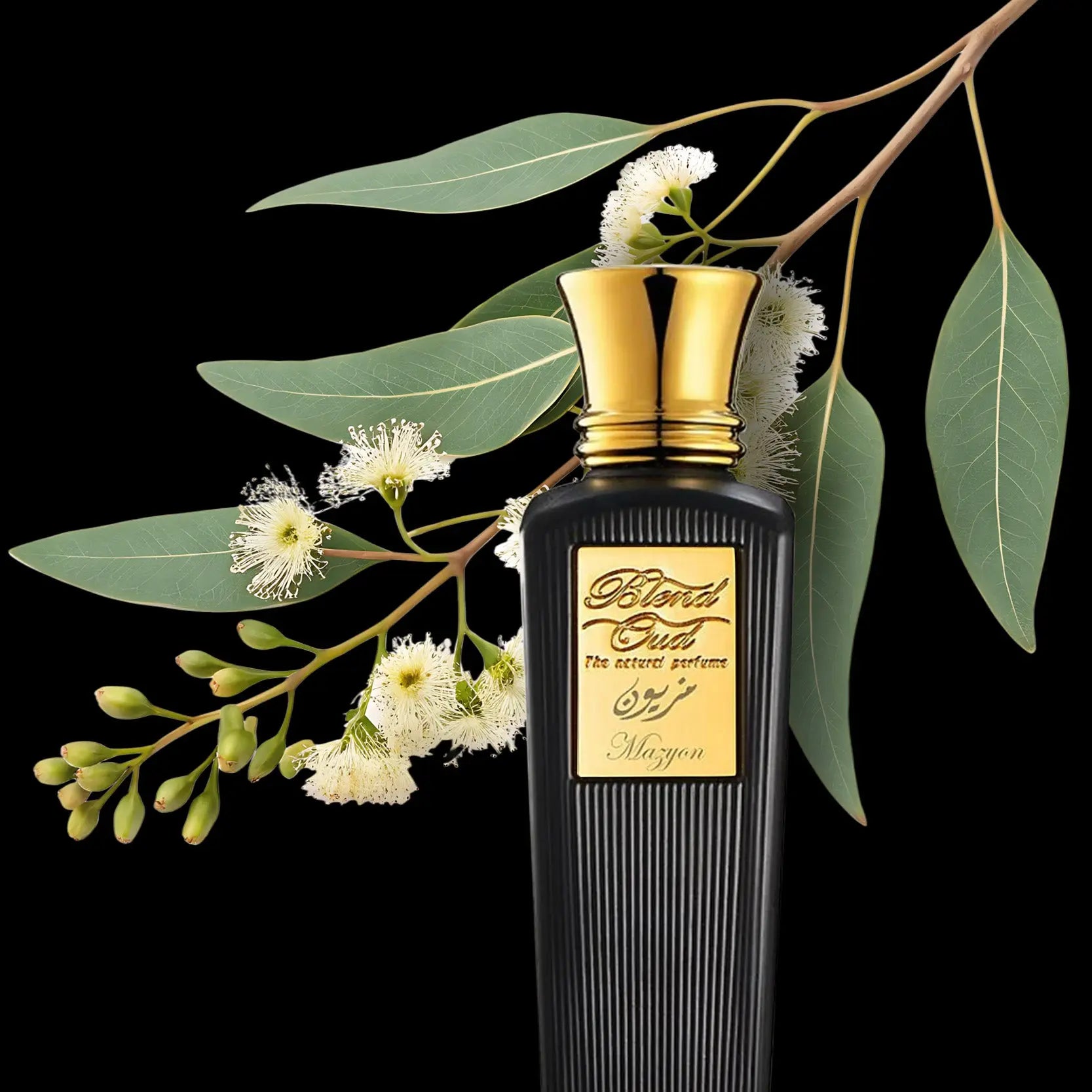 Mazyon | Eau de Parfum Blend Oud