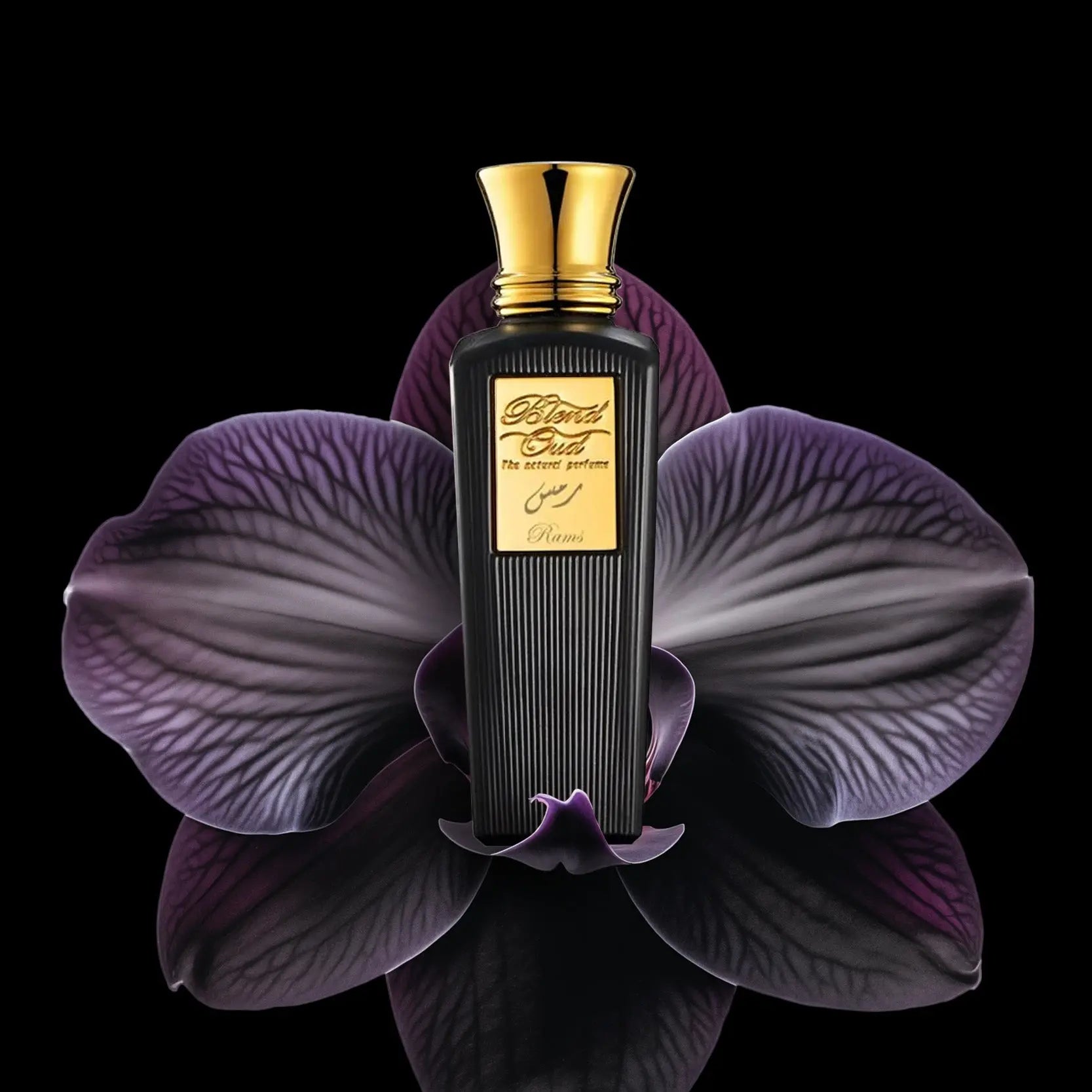 Rams | Eau de Parfum Blend Oud