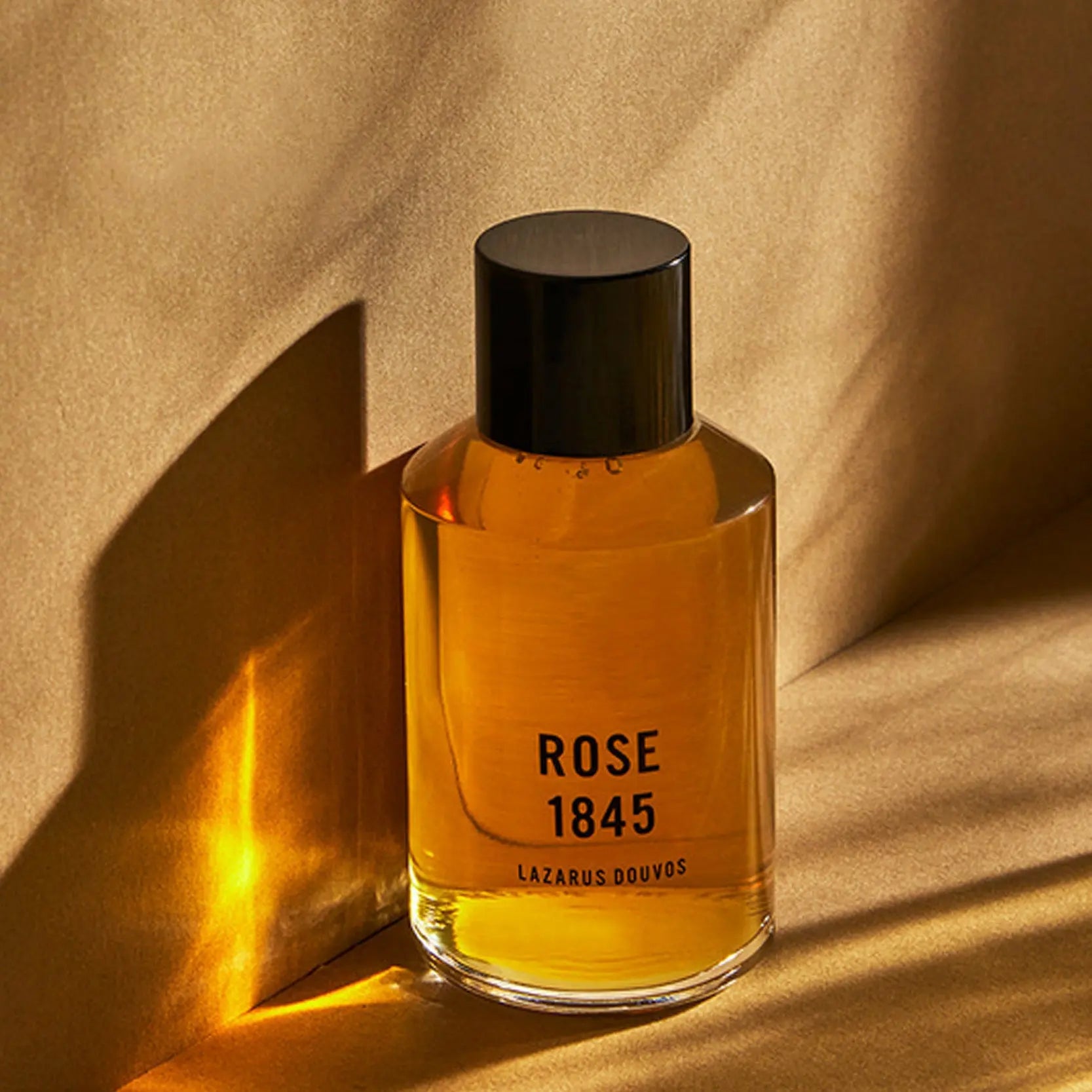 Rose 1845 | Hair Oil - NEVERABORE