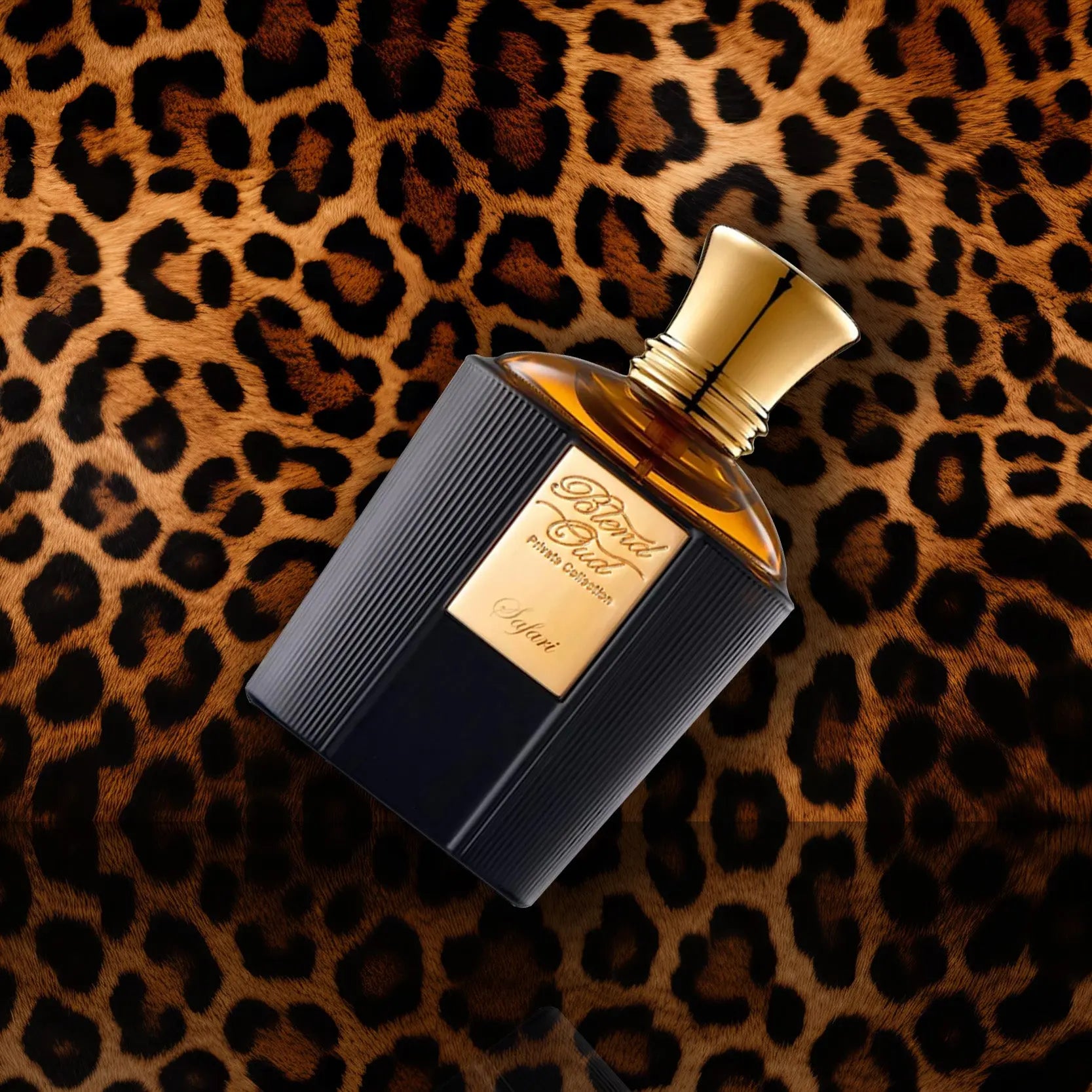 Safari | Eau de Parfum Blend Oud
