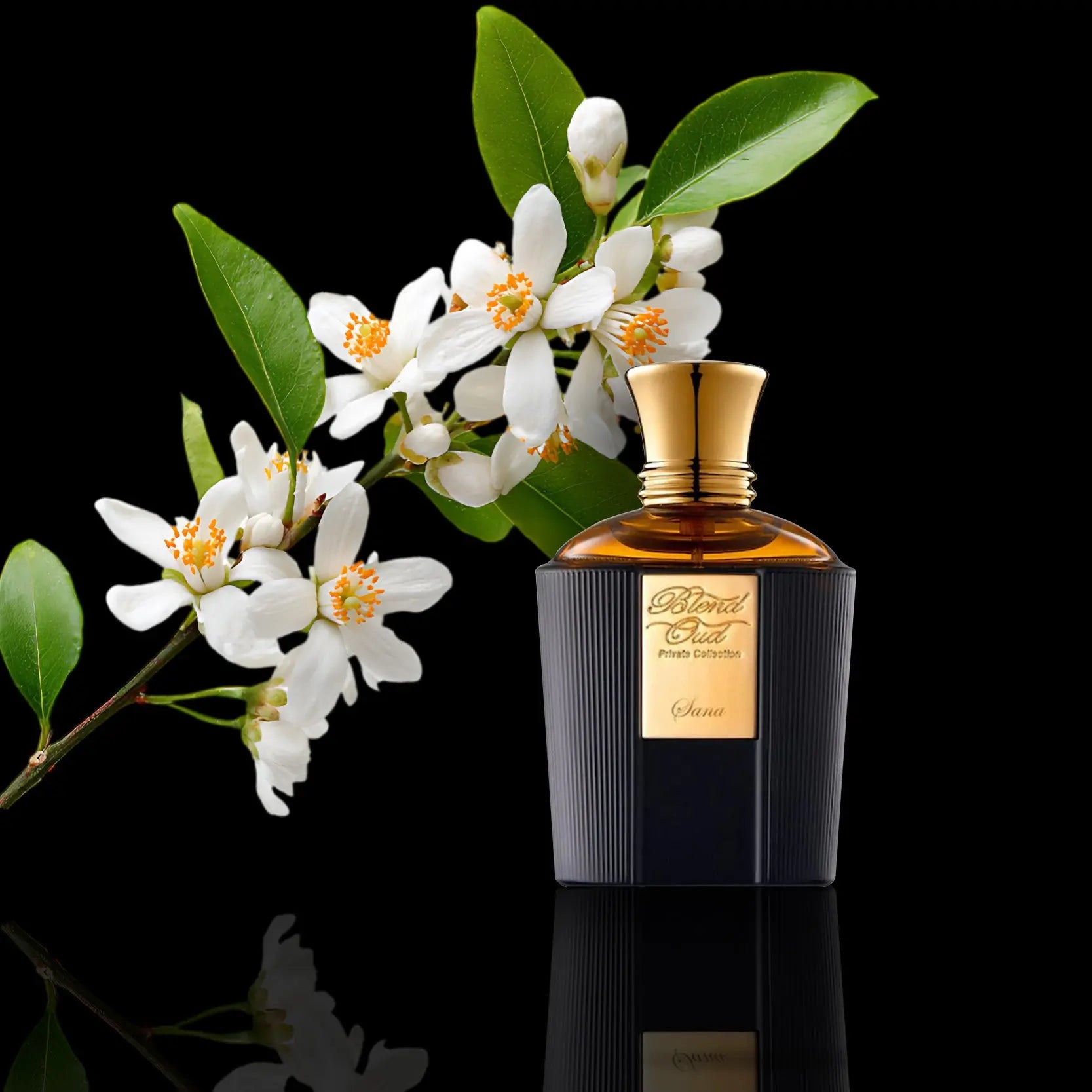 Sana | Eau de Parfum Blend Oud