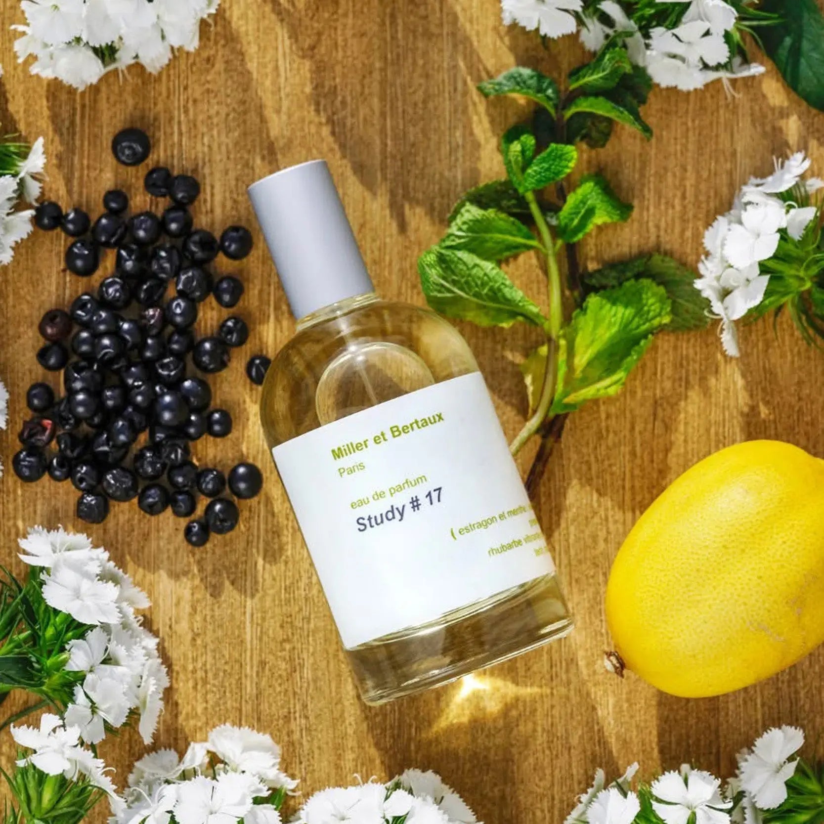 Study #17 | Eau de Parfum Miller Et Bertaux