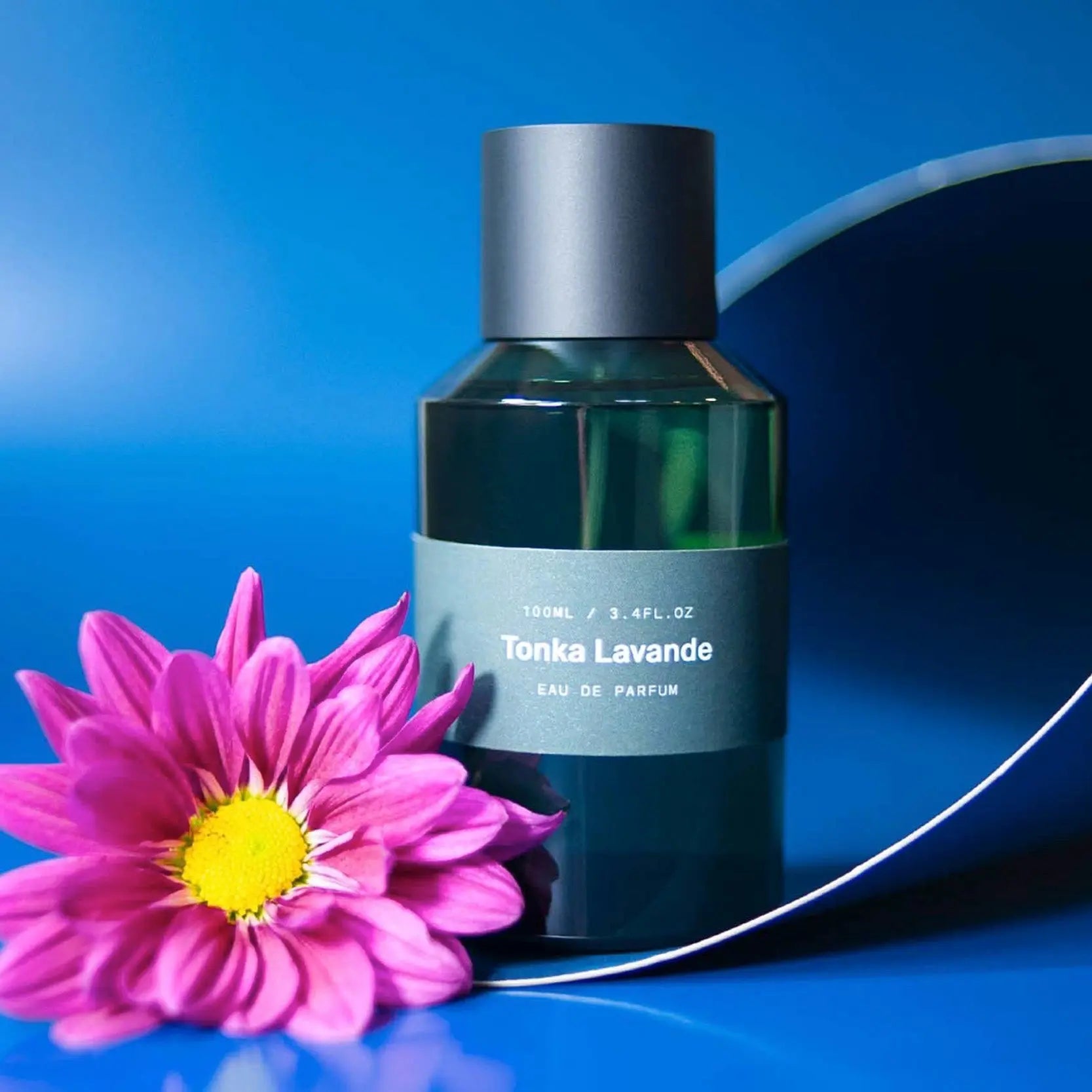 Tonka Lavande | Eau de Parfum - NEVERABORE