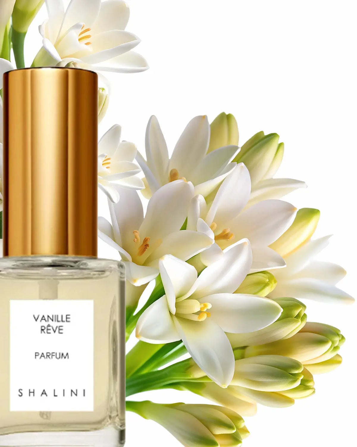 Vanille Rêve Parfum | Luxury Spray Bottle - NEVERABORE