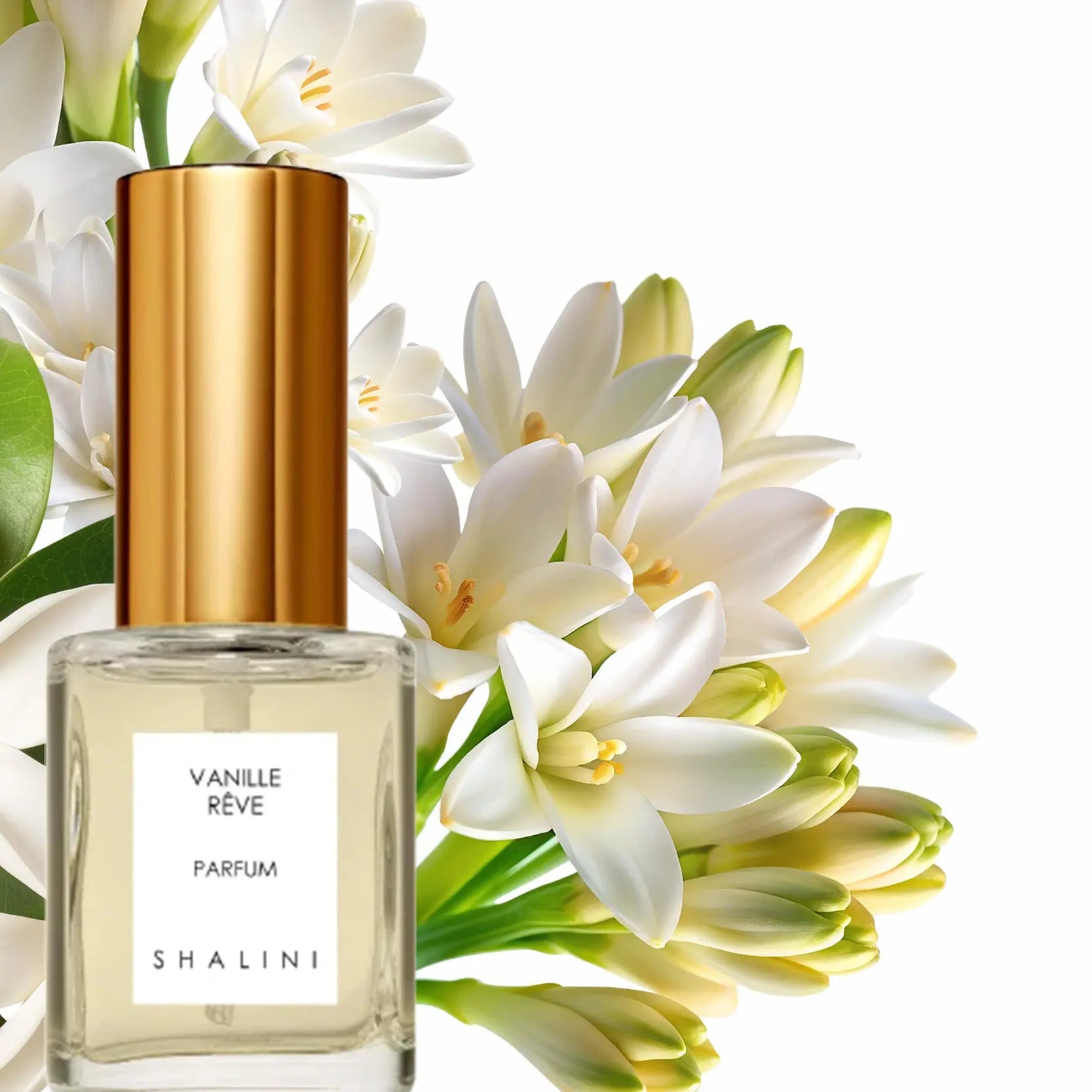 Vanille Rêve Parfum | Luxury Spray Bottle - NEVERABORE