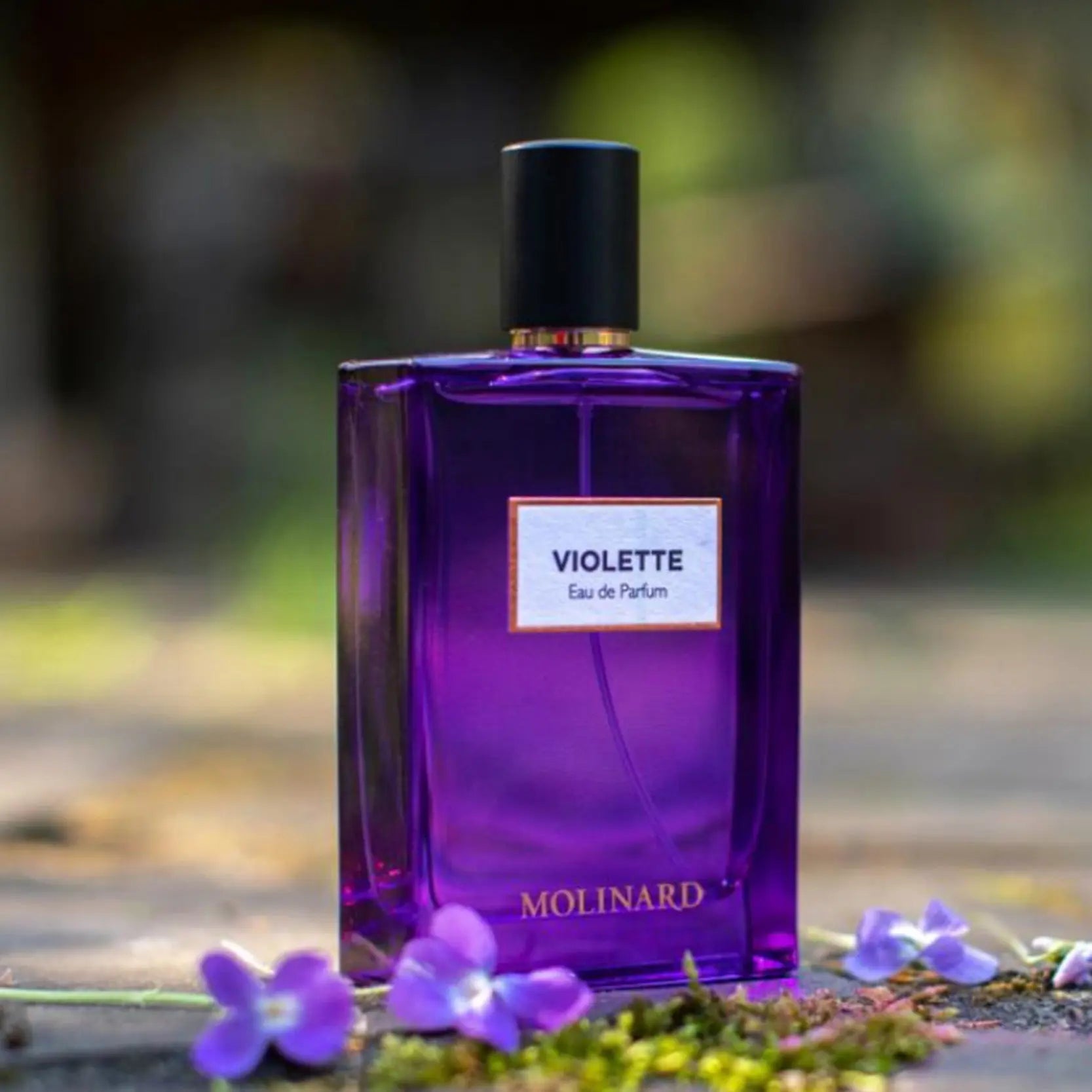 Violette | Eau de Parfum - NEVERABORE