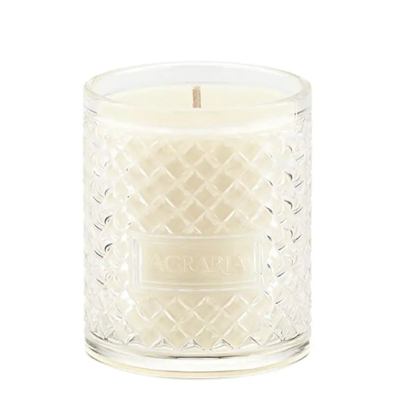 Balsam | Candle 7oz - NEVERABORE