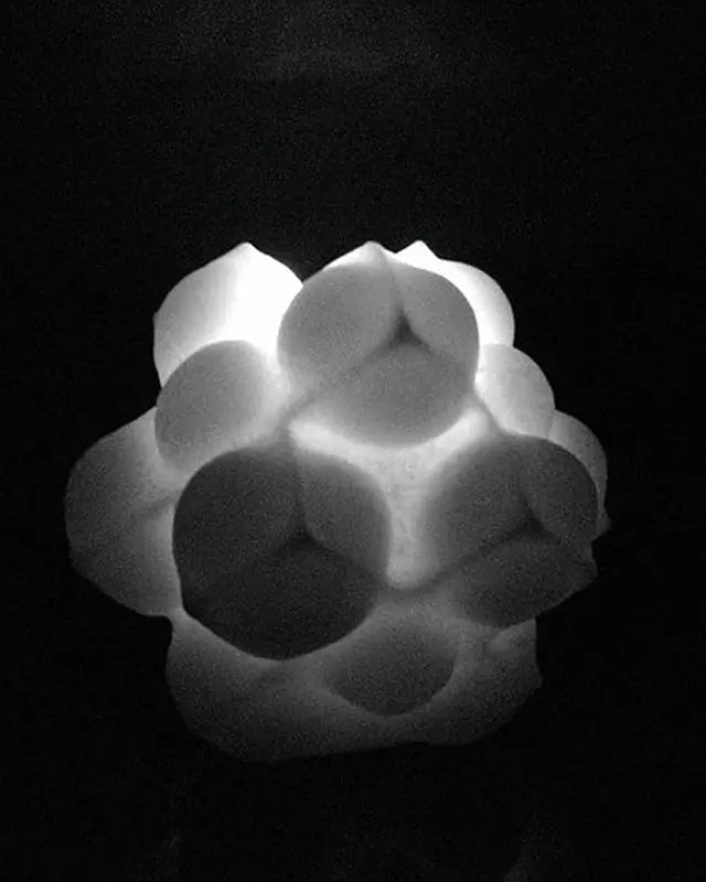 Hazelnut | Candle - NEVERABORE