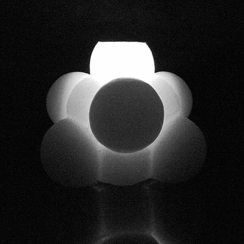 Molecule | Candle - NEVERABORE