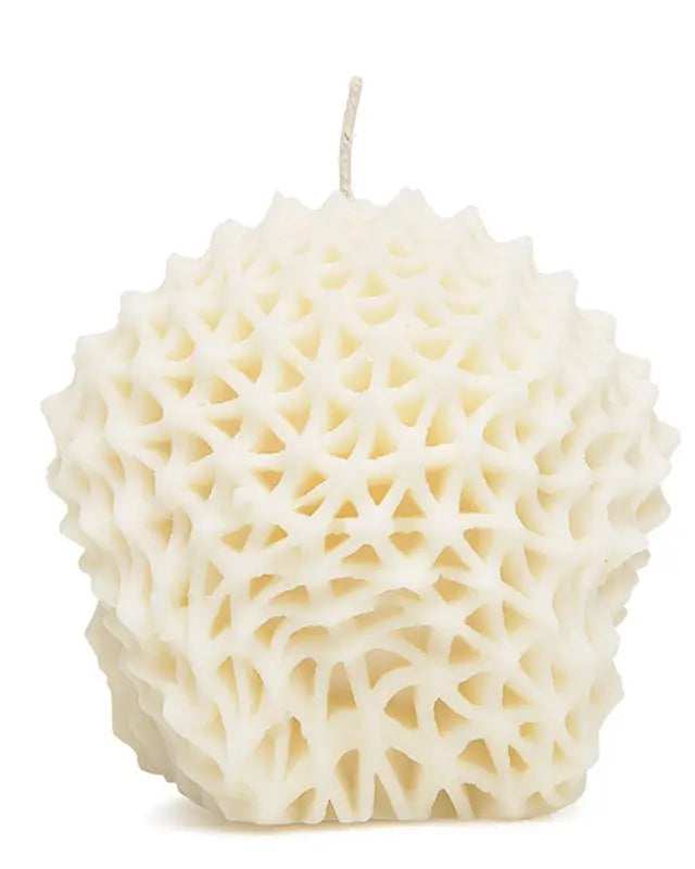 Passiflora | Candle - NEVERABORE