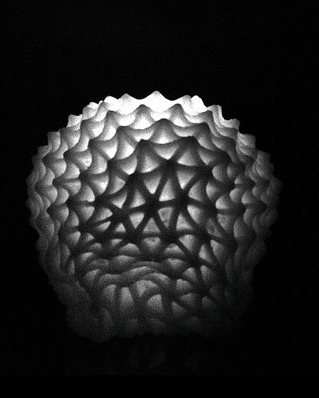 Passiflora | Candle - NEVERABORE