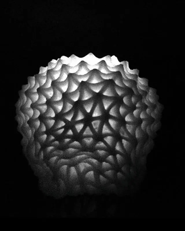 Passiflora | Candle - NEVERABORE