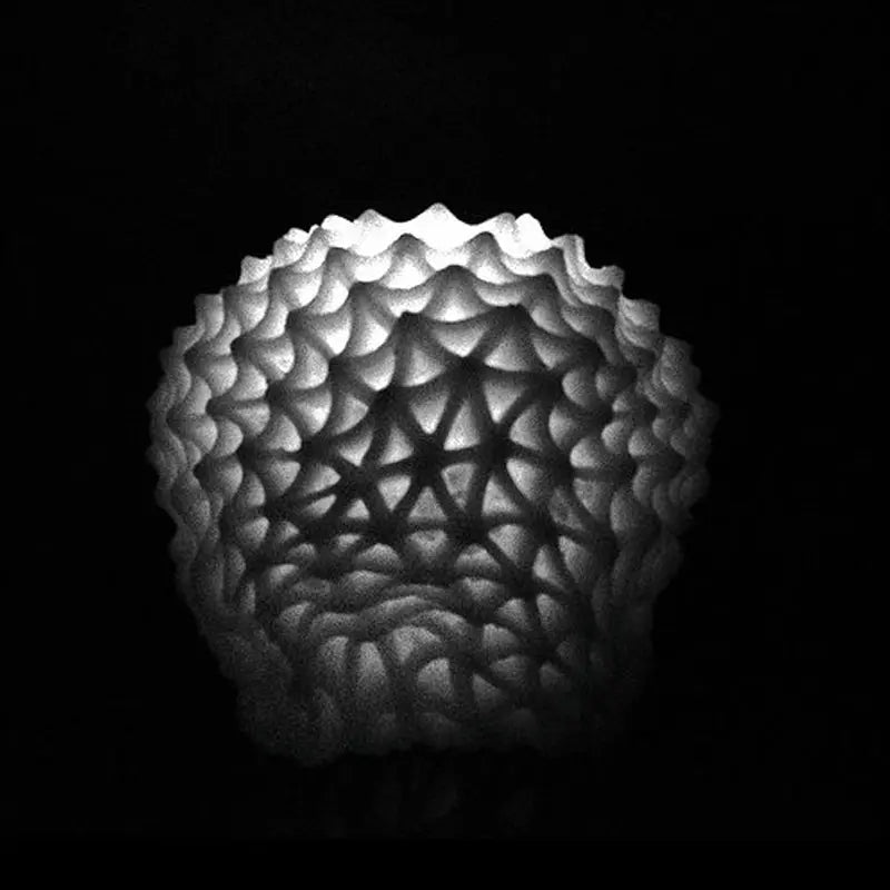 Passiflora | Candle - NEVERABORE