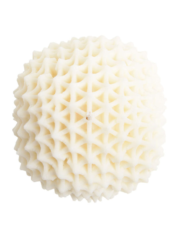 Passiflora | Candle - NEVERABORE