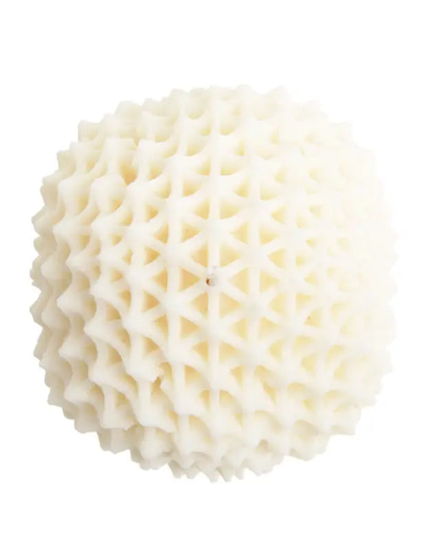 Passiflora | Candle - NEVERABORE