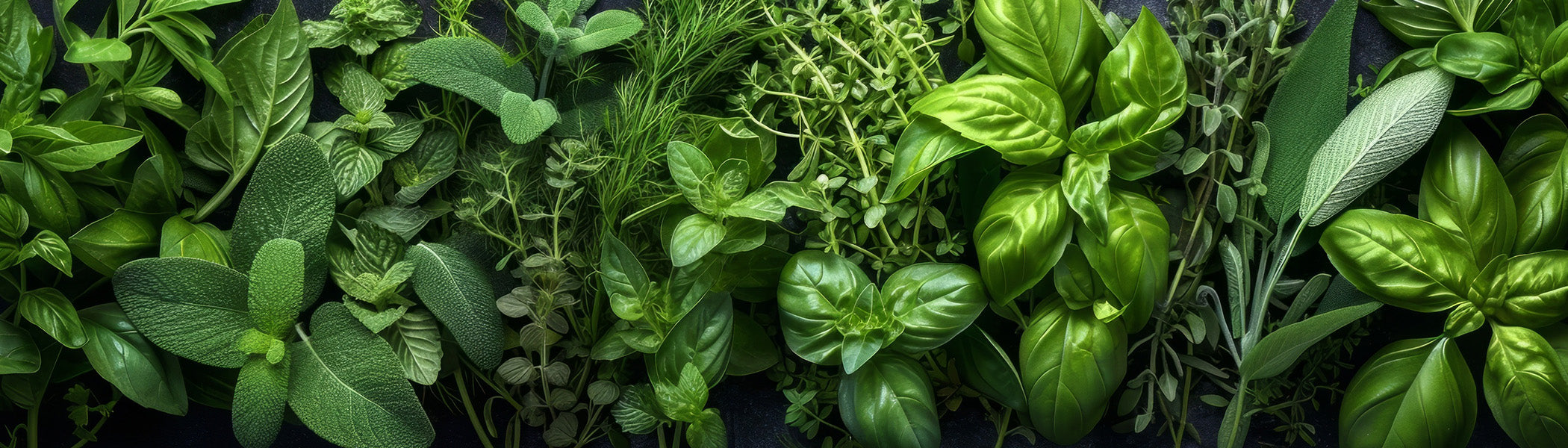 Aromatic Collection