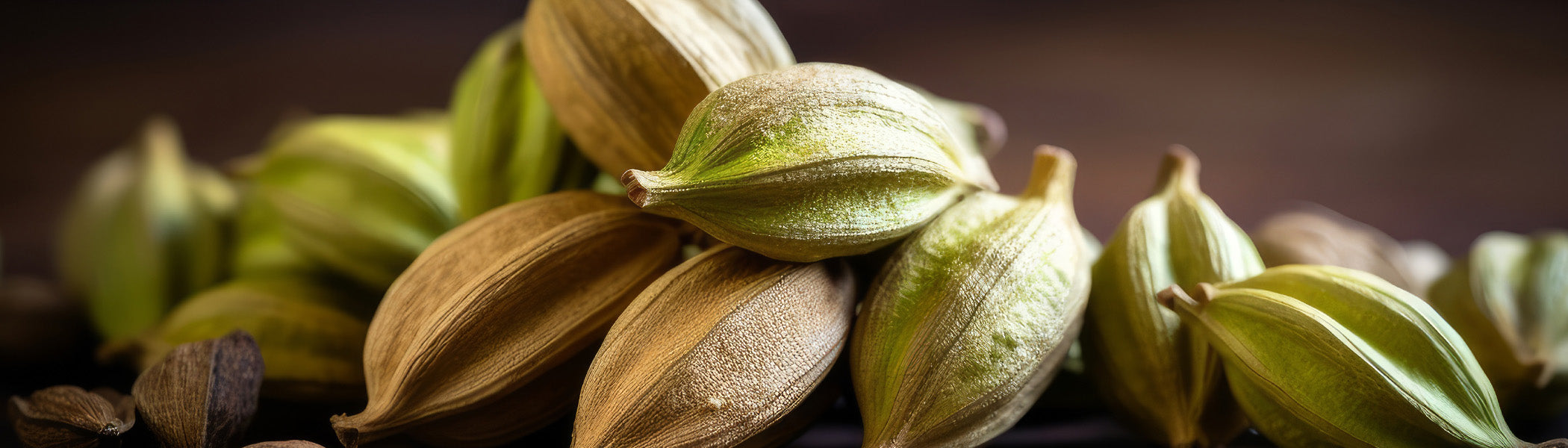 Cardamom