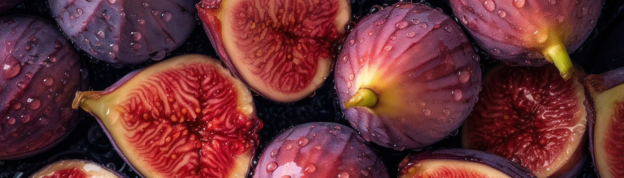 Fig