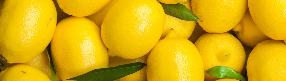 Lemon Perfumes Notes Collection | Neverabore.com – NEVERABORE