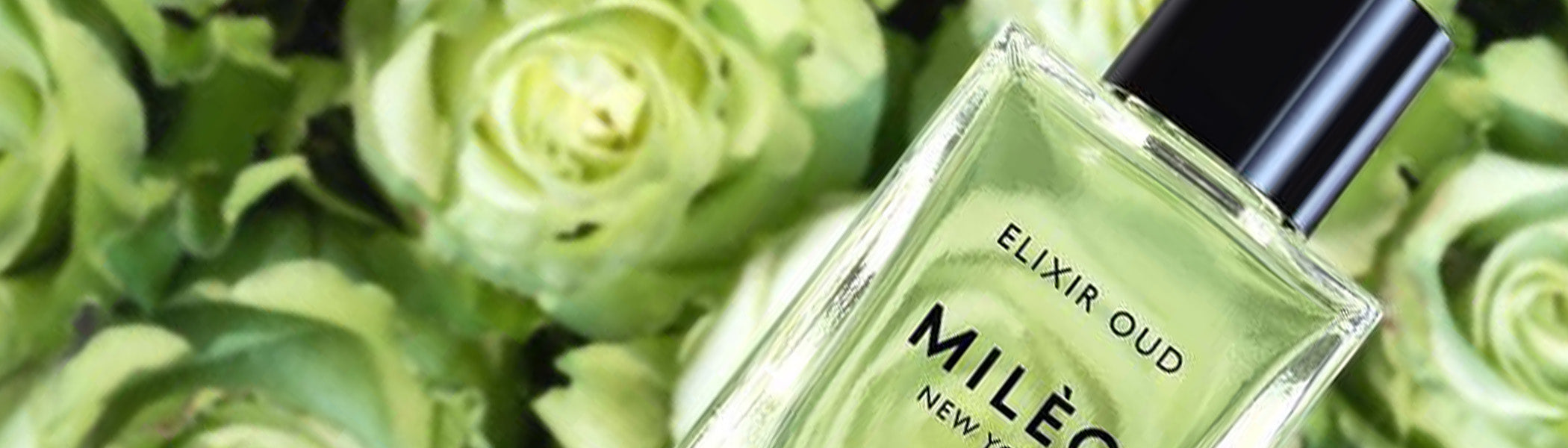 Face Oils & Lip Balms