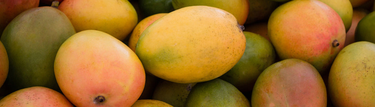 Mango Perfumes – NEVERABORE