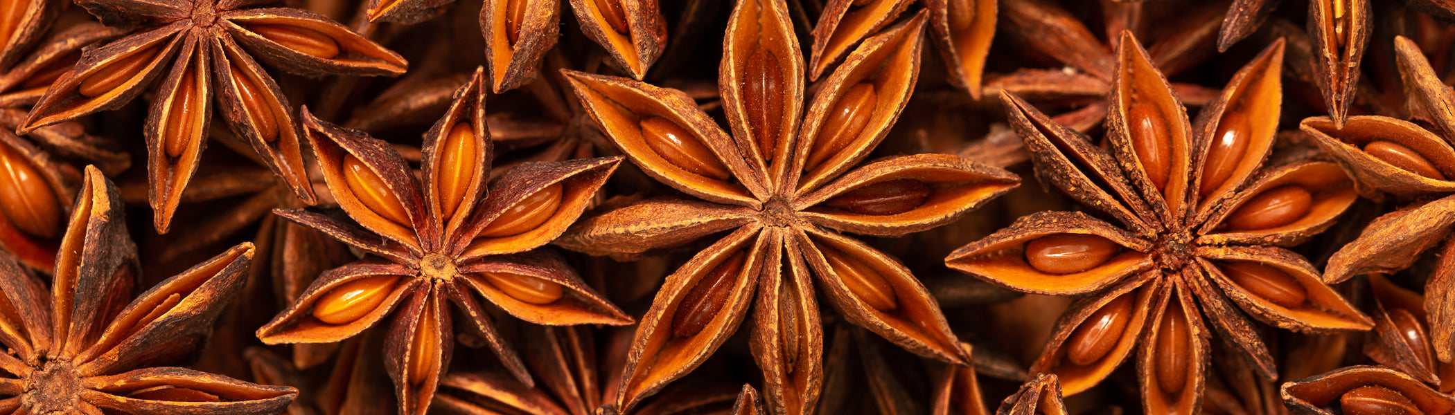 Star Anise